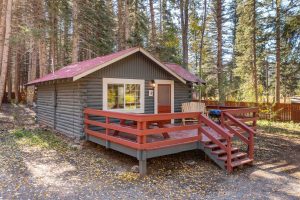 Cabin 13 Exterior Deck Forest