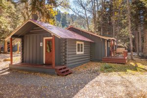 Cabin 14 Exterior Cabin Forest