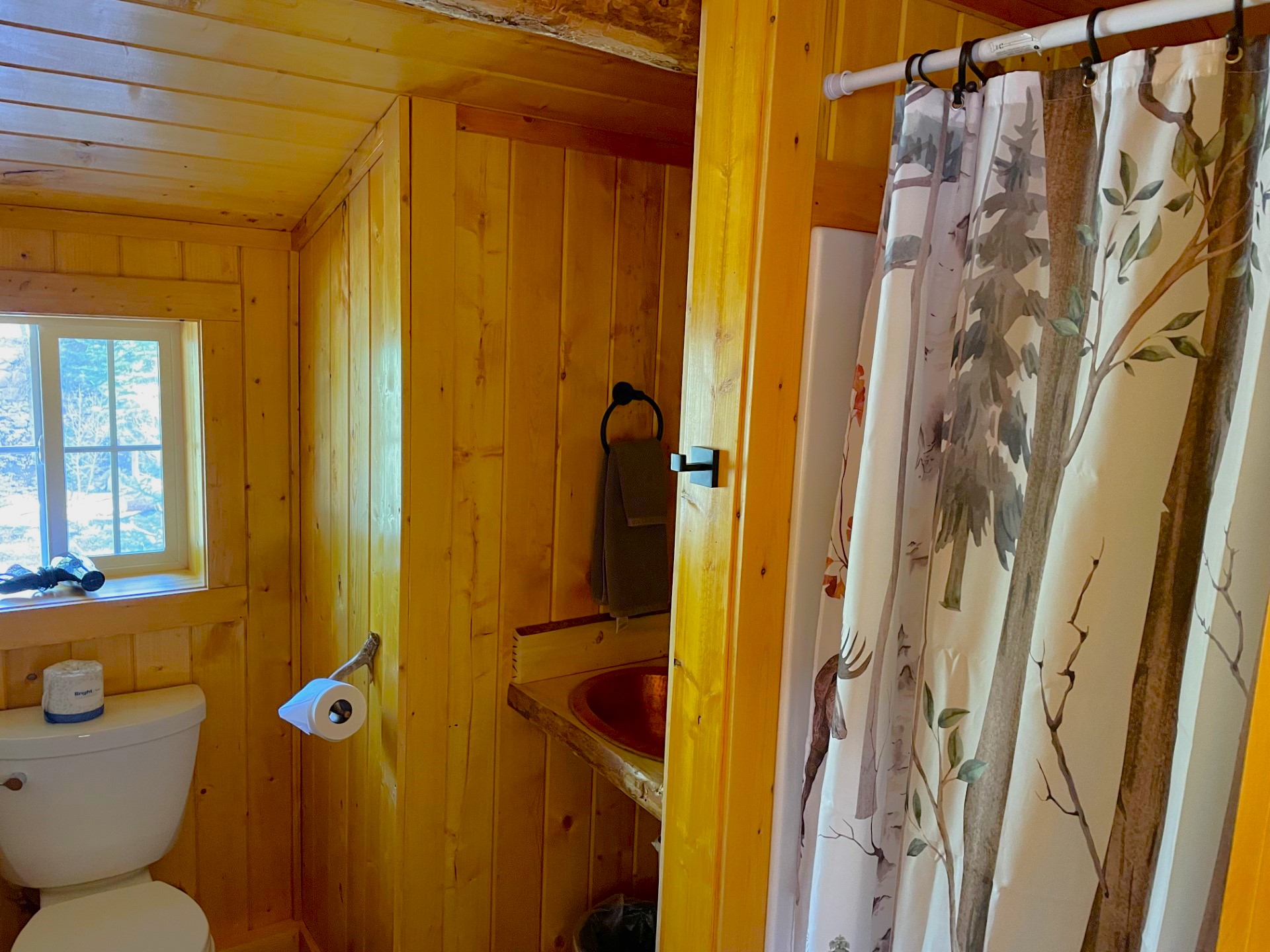 Cabin 4 Bathroom Shower Toilet