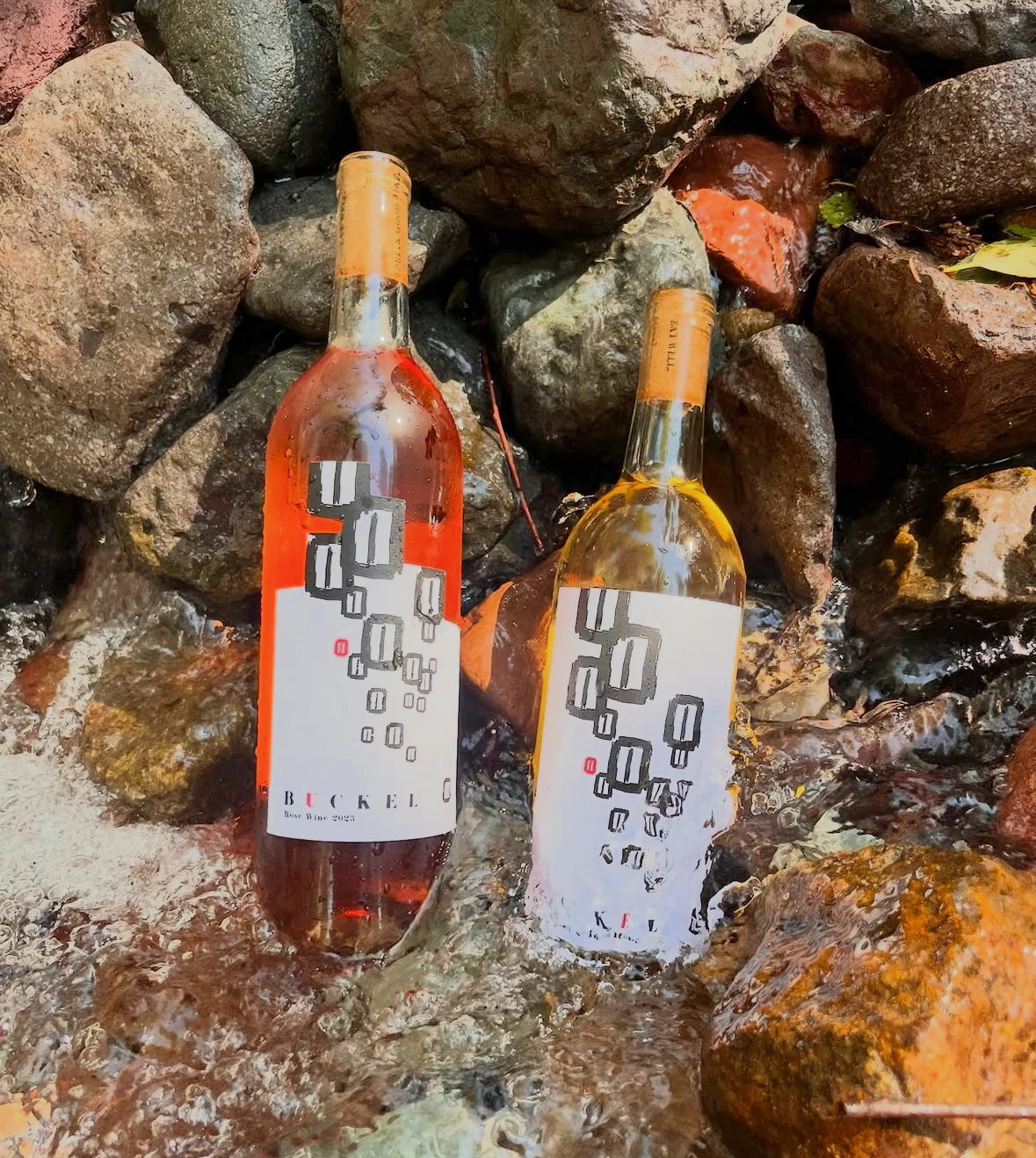 Riverside Buckel Family Wine Pairing Dinner