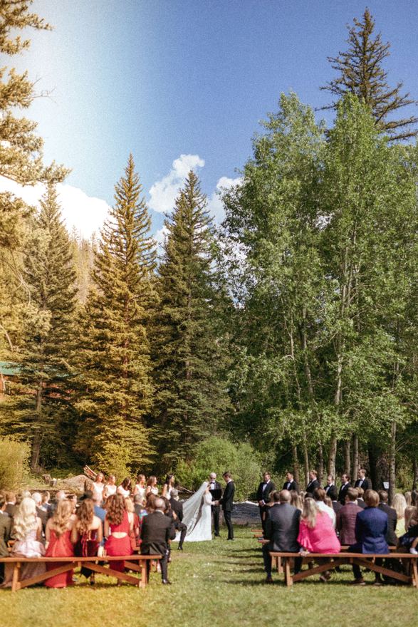 Guests watching a wedding ceremony under the pines