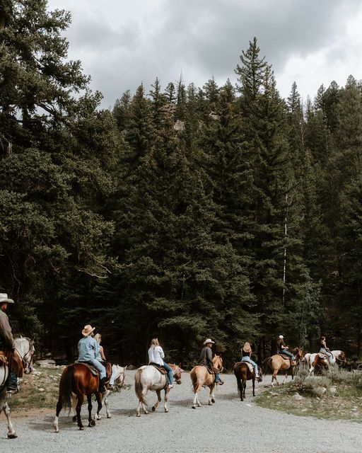 Horseback riders on a trail ride