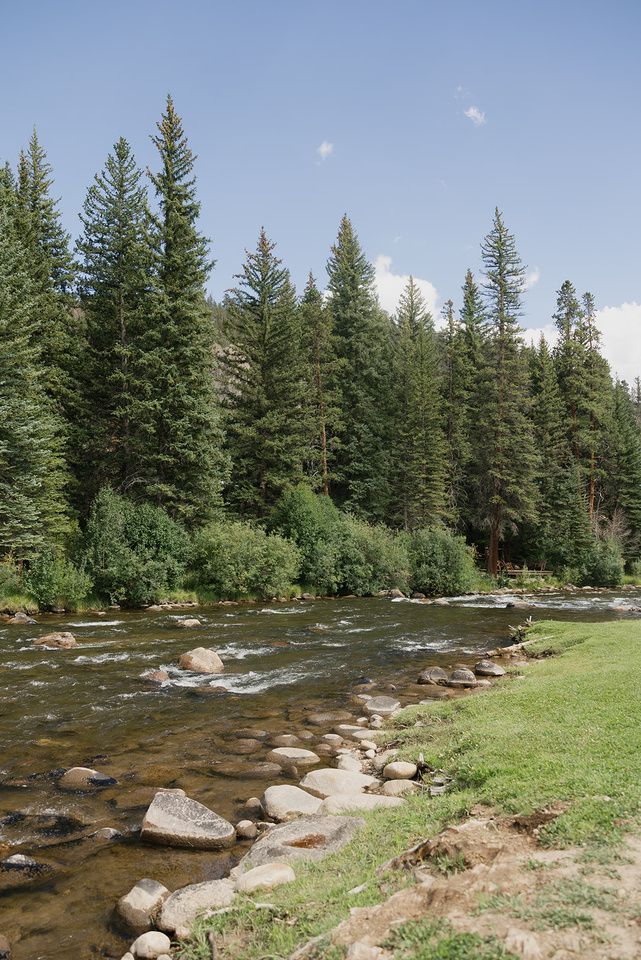 The Taylor River below the pines