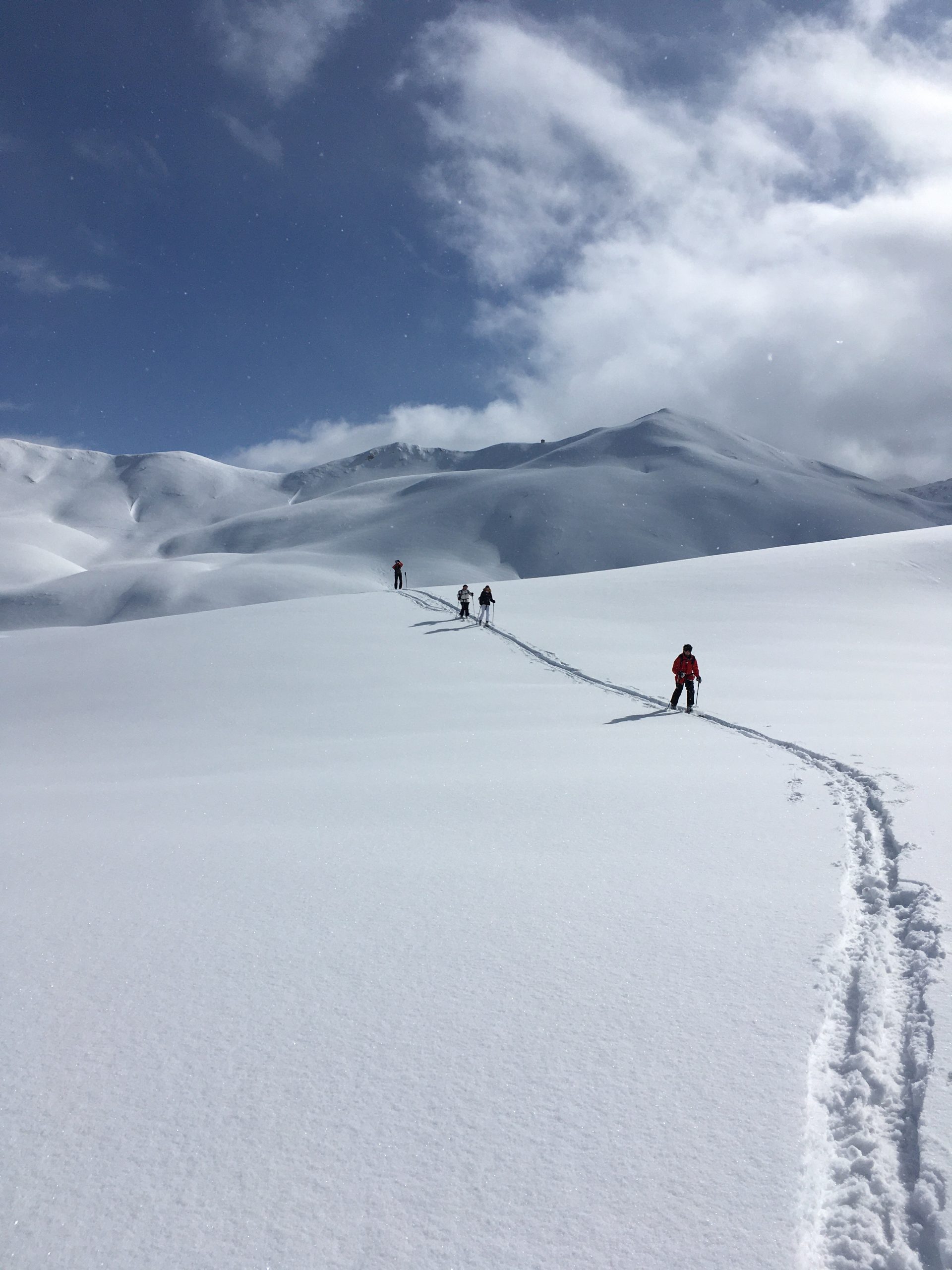 Cross Country Ski in Almont, CO