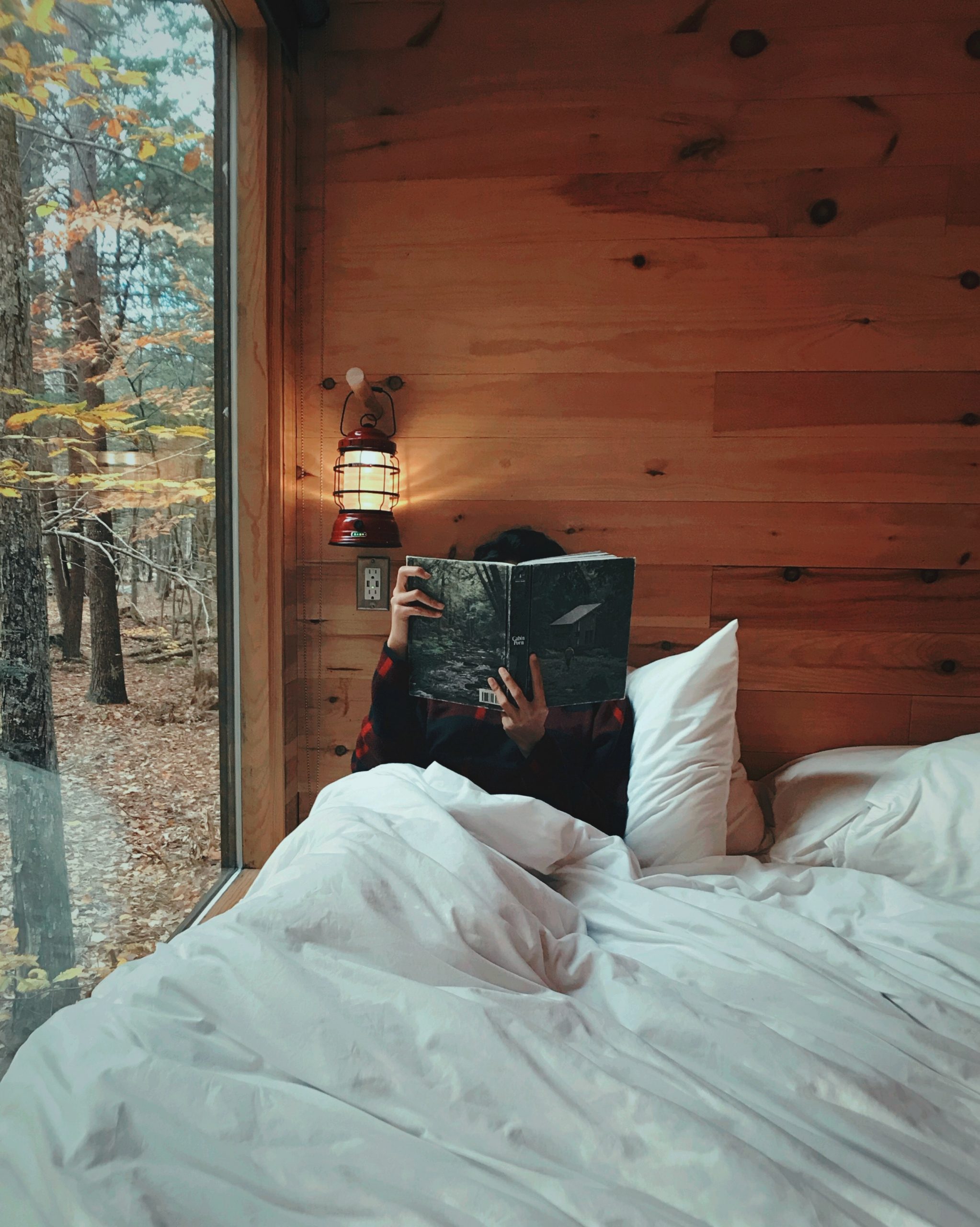 Read a book in Almont