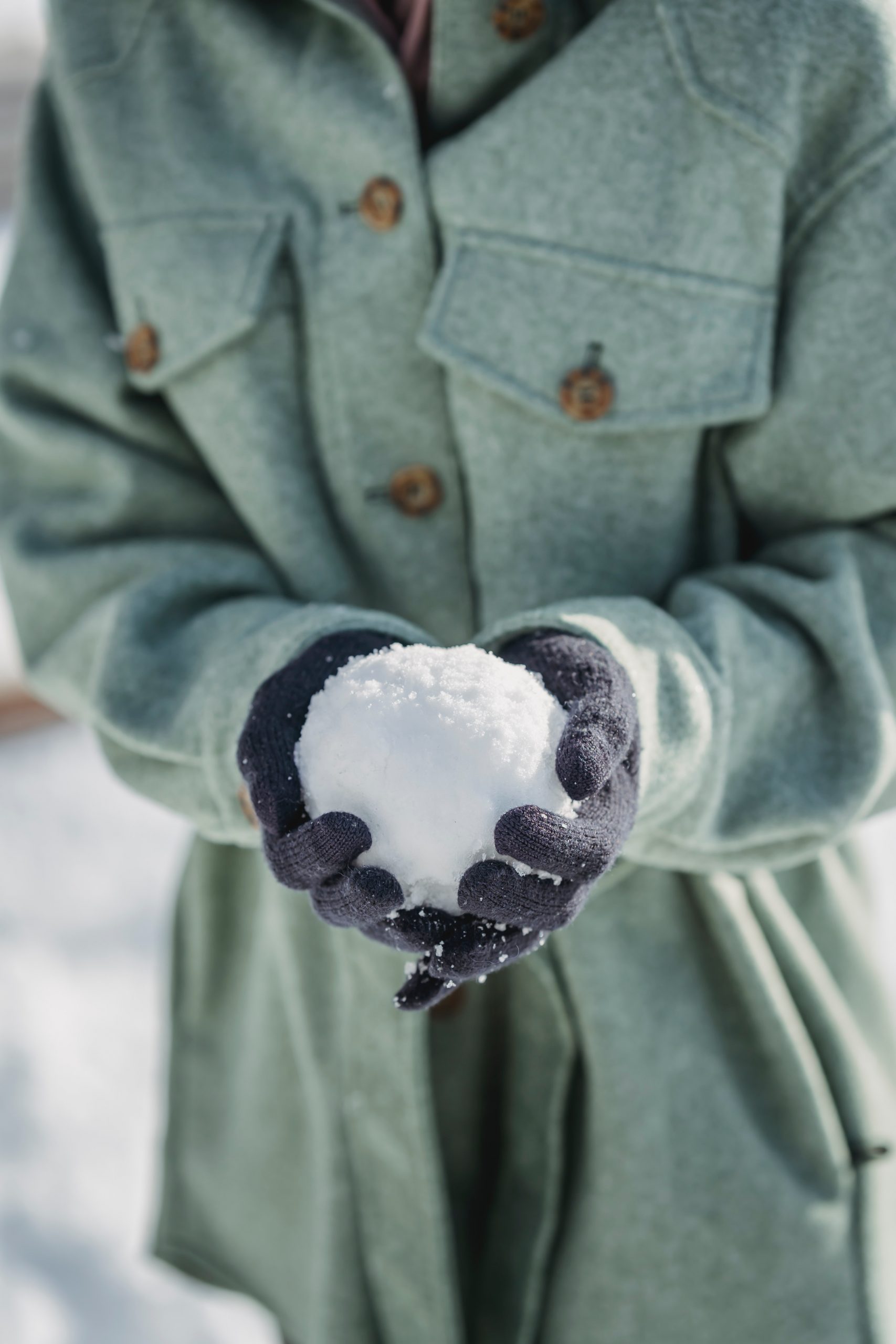 Snowball Fight in Almont
