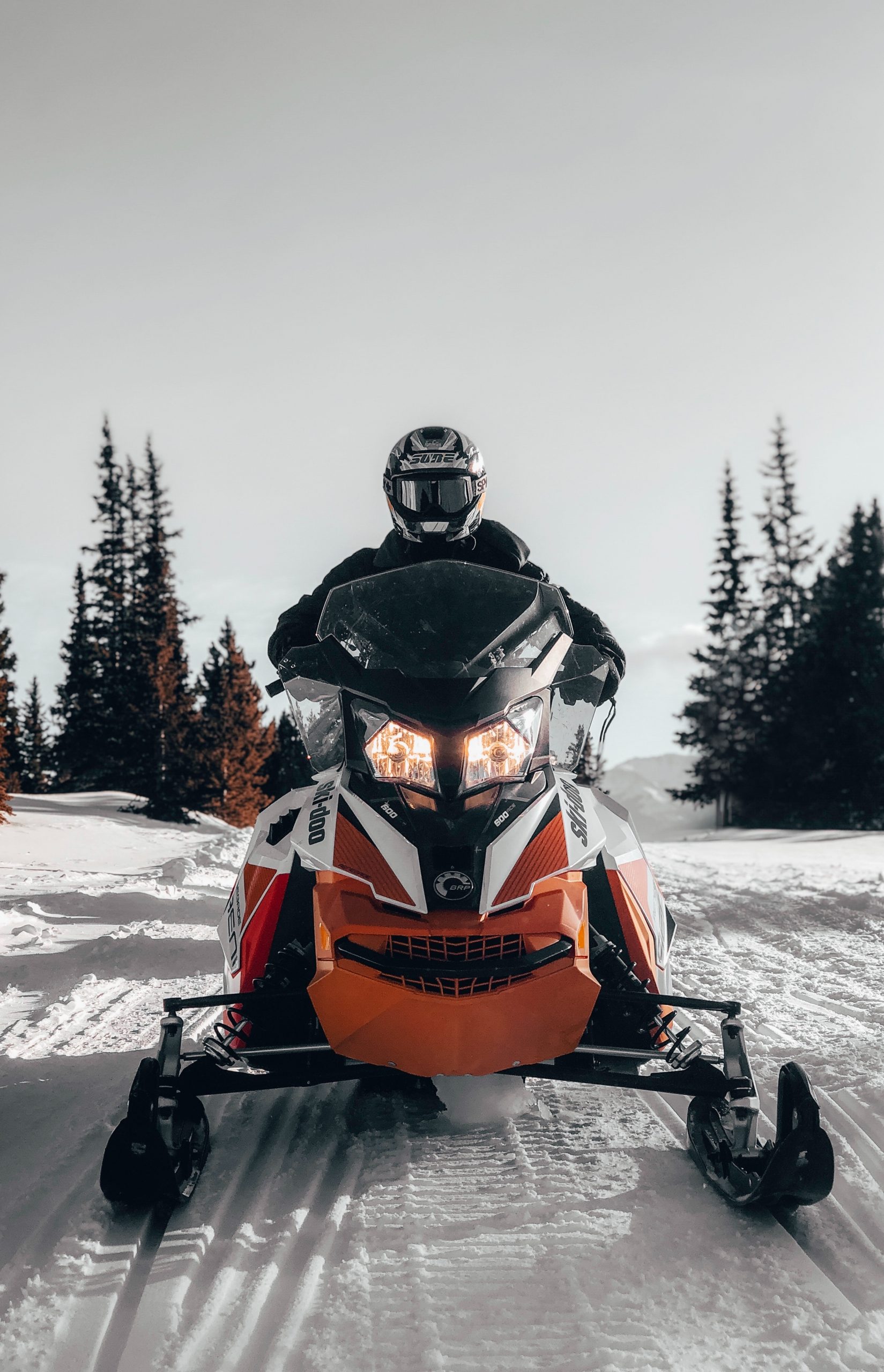 Snowmobile in Almont, CO