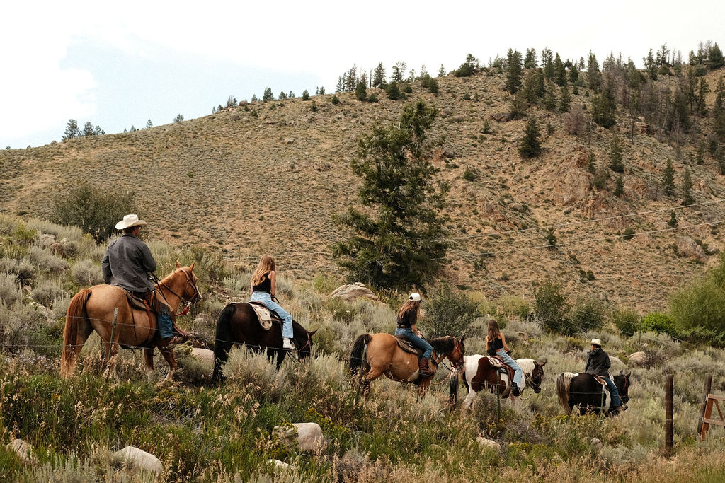 Horseback Riding at Harmels