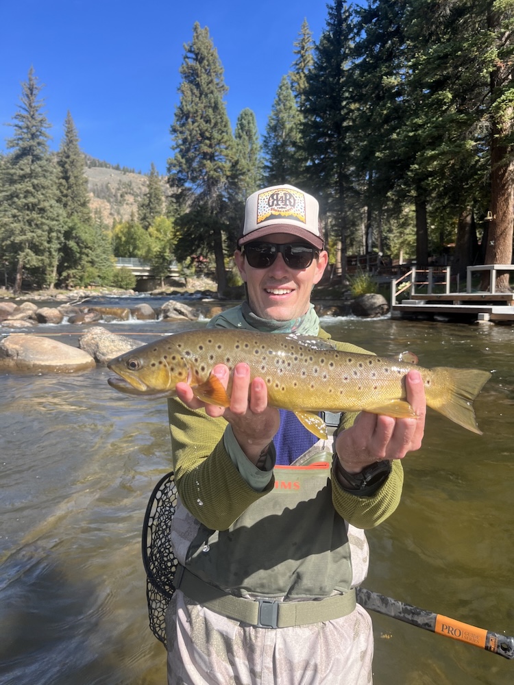 Risers 4 Rett Auction